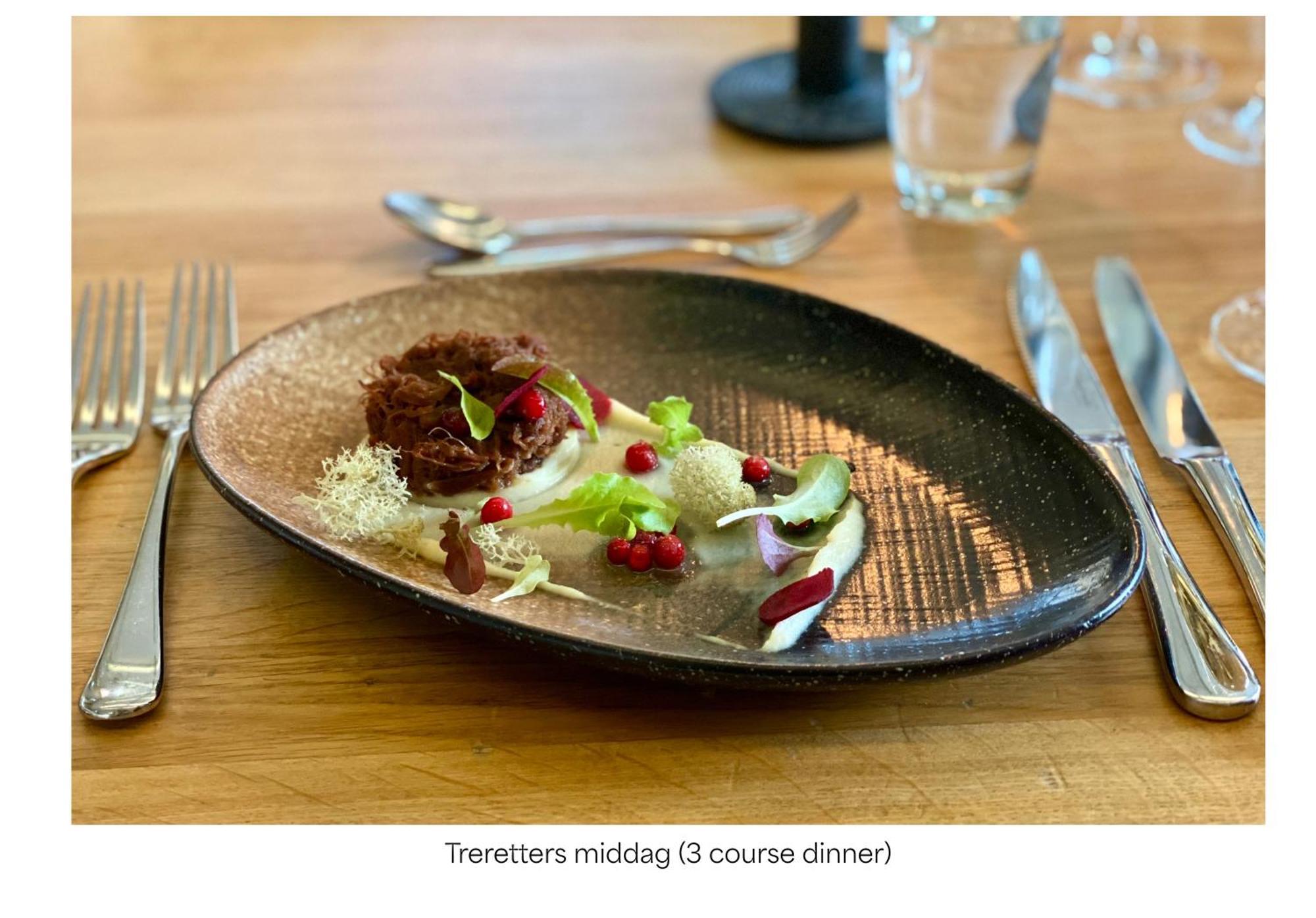 Turtagro Hotel Fortun